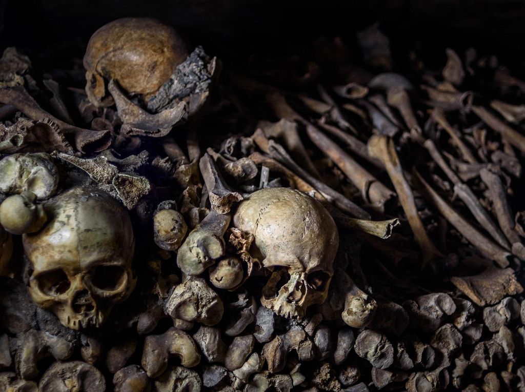 Berapa Lama Tubuh Manusia yang Terkubur Akan Membusuk?