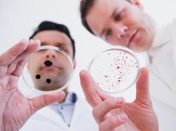 Apa Saja Bagian Struktur Bakteri dan Fungsinya? Yuk Kenali!