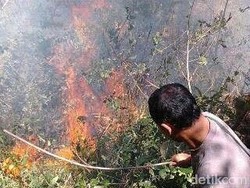 Kebakaran  Gunung Lawu Makin Membesar, Merembet Hingga Wilayah Jawa Tengah