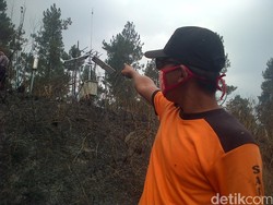 6,6 Ha Hutan Merapi Ludes Diterjang Api, Alat Pemantau Hujan Ikut Rusak