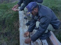 Brrr! Hujan Es Turun, Suhu di Puncak Papua bak Musim Dingin di Eropa