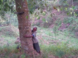Seharusnya Pemerintah Turun Tangan Bantu Mbah Sadiman Hijaukan Bukit Gendol