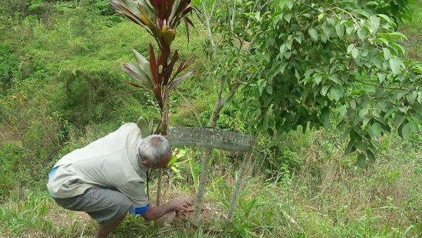 Kisah Hebat Mbah Sadiman Pahlawan Penghijauan Dari Wonogiri