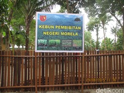 Cegah Konflik, Kodam Pattimura Gagas Program Penghijauan untuk Perdamaian