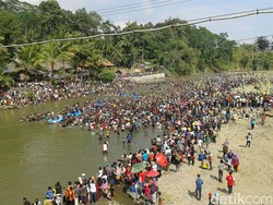 Serunya Menangkap Ribuan Ikan di Pesta Parak Iwak Banjarnegara