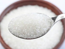 Gula Produksi PTPN XI Diuji Sample untuk Jaga Kualitas