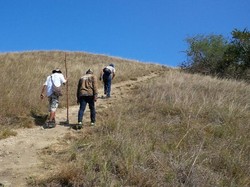 Warlok: Tiket Masuk TN Komodo Rp 3,75 Juta Terkesan Tergesa-gesa, Ada Apa?