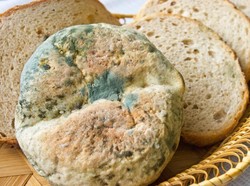 Waspada, Makanan Berjamur Ternyata Bisa Sebabkan Kanker Lho!