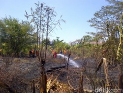 Kebakaran Alang-alang Hebohkan Pegawai Kantor Pemerintahan di Semarang