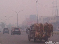 Soal Asap, DPRD Riau Minta Pemprov Berlakukan Status Tanggap Darurat