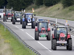 Korupsi Pengadaan Traktor, 2 Pejabat dan 4 Dirut Dijebloskan ke Penjara