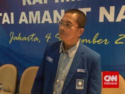 Dukung Pemerintah, PAN Janji Tak Ada Penyanderaan RAPBN 2016