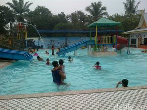 Penelitian Ini Ungkap Jumlah Urine di Kolam Renang Umum