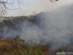 Dekan Ekologi IPB: Masalah Asap Makin Serius Pemerintah Harus Cepat Atasi