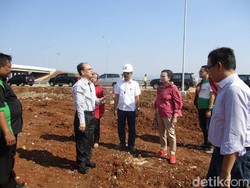 Trembesi Siap Mengakar Hijaukan Ruas Jalan Tol Cipali