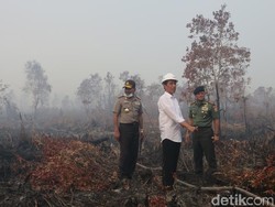 Jadi Kepala BNPB, Apa Langkah Willem Rampangilei Tangani Bencana Asap?