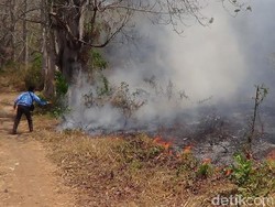 10 Hektar Hutan Gunung Bentar Ludes Terbakar