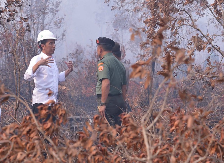 Jokowi Minta Kepala BNPB, Panglima TNI, dan Kapolri Bereskan Karhutla