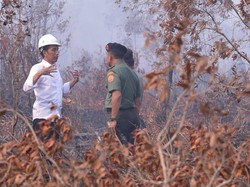Akankah Sentuhan Jokowi Bisa Padamkan Api Musiman di Sumatera?