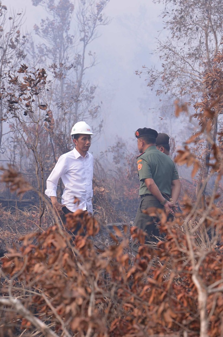 Jokowi Terima Hukuman karena Alasan Tak Bisa Dibenarkan