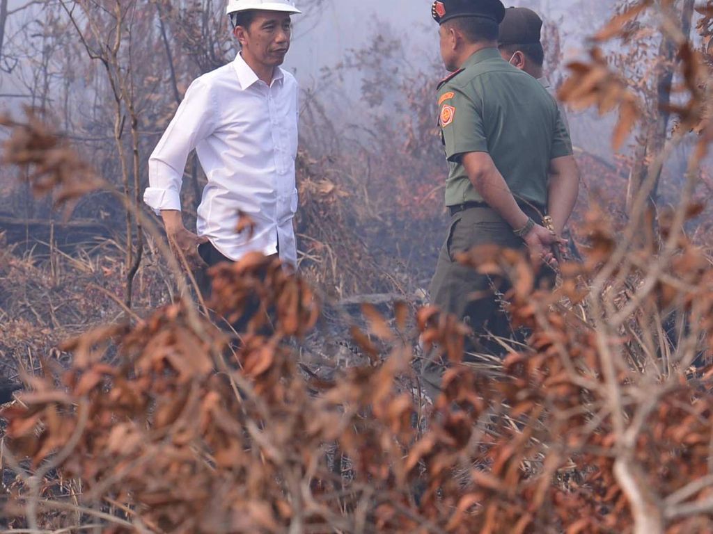 Jokowi Lihat Kebakaran Hutan, Malah Sepatunya yang Viral Jokowi Lihat Kebakaran Hutan, Malah Sepatunya yang Viral