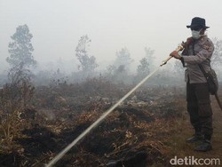 Atasi Kebakaran, Pemerintah Kontak Negara Pemilik Pesawat Water Bombing