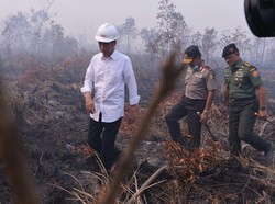 Lewat Jalur Darat dari Padang ke Riau, Jokowi Pantau Pelayanan Kesehatan