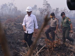 MA Vonis Jokowi Melawan Hukum di Kasus Kebakaran Hutan! MA Vonis Jokowi Melawan Hukum di Kasus Kebakaran Hutan!