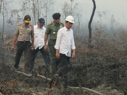 Kementerian Kehutanan dan Bareskrim Segel Lahan Terbakar di OKI Sumsel