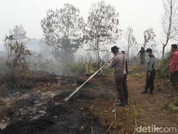 Selain Didenda Rp 366 Miliar, Aset Tanah Perusahan Pembakar Hutan Juga Disita