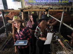 Cerita SPG Cantik Juwita 12 Jam di Kandang Sapi