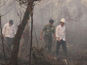 Jokowi: Kebakaran Hutan dan Lahan Turun Signifikan, Tapi Jangan Dibiarkan