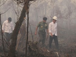 Foto-foto Saat Jokowi Masuk Hutan yang Terbakar
