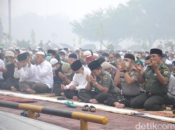 Taufik Kurniawan: DPR Dukung Jokowi Hukum Perusahaan Pembakar Hutan