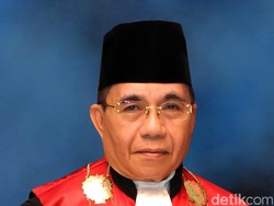 Mengenal 3 Hakim yang Loloskan Pembakar Hutan dari Tuntutan Rp 1 Triliun