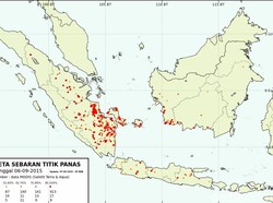 Kebakaran Lahan, PT IKPP: Kalau Kami Bakar Lahan Berarti Bunuh Diri