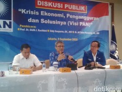 PAN: Pemerintah Harus Tindak Tegas Perusahaan Pembakar Hutan