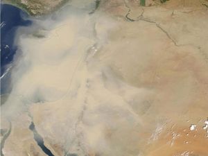 Mengerikan! China Dihantam Badai Pasir Setinggi 100 Meter