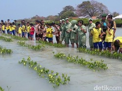 Jelang HUT TNI ke-70, Kodam Jaya Tanam 150 Ribu Mangrove di Kepulauan Seribu