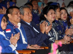 Partai Demokrat Tunggu Keputusan Majelis Tinggi untuk Tentukan Cagub DKI