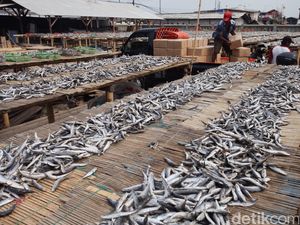 Target KUR Tahun Ini Rp 110 T, 40% untuk Pertanian dan Perikanan