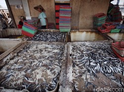 Ini 12 Bank dan LKBB Penyalur KUR Baru