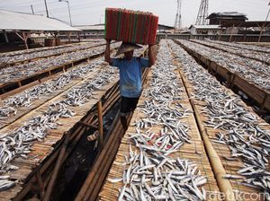 Penyaluran KUR hingga Agustus Capai Rp 87,5 T