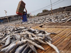 Pemerintah Kesulitan Genjot Kredit Rakyat ke Sektor Produksi