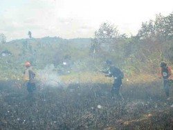 Ini Lokasi Kebakaran Hutan Tempat Pak Dulman Ambruk dan Tewas