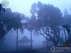 Peringatan BNPB! Kualitas Udara di Pekanbaru dan Palembang Berbahaya