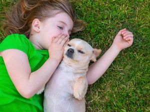 Bunda, Ini 5 Manfaat Memelihara Binatang bagi Anak