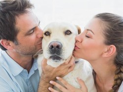 4 Cara Hewan Peliharaan Bantu Kalahkan Efek Buruk Stres