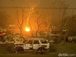 Kebakaran Hutan Juga Melanda California, Puluhan Ribu Orang Mengungsi