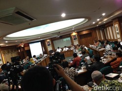 Luhut Pimpin Rapat Bahas Kebakaran Hutan yang Sudah Kritis